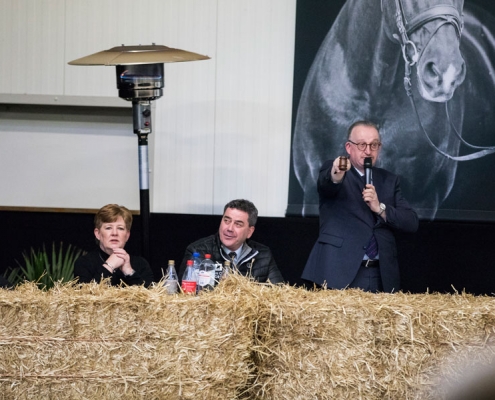 Veiling van Olst